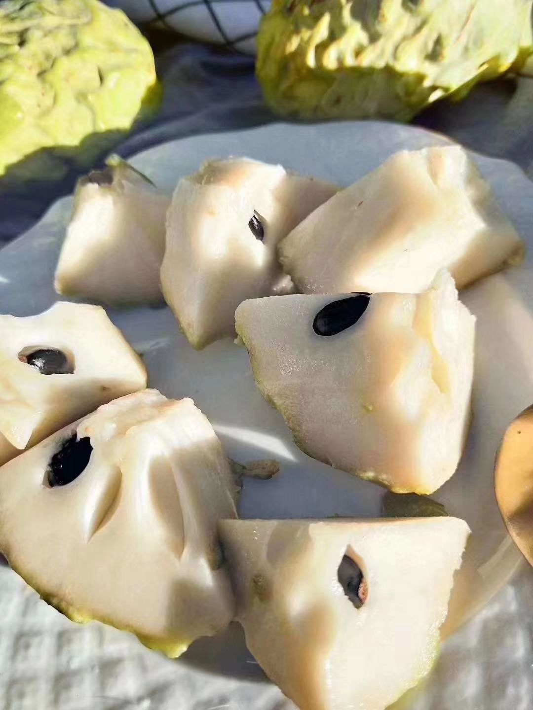 釋迦 泰國特級奶牛釋迦果