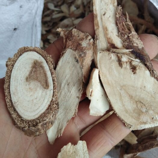 全南县鹰不泊  江西草药楤木鸟不停不宿猫儿刺箭当树跌打泡酒晒干500克