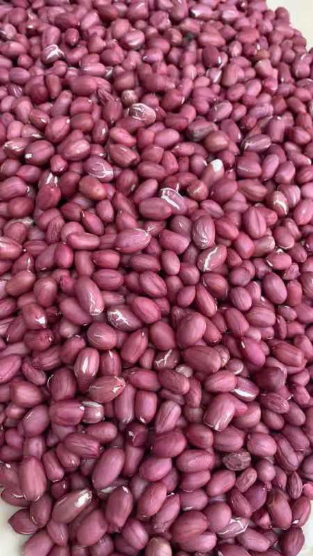 油料花生米  白皮花生米