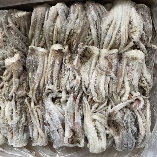 福州阿根廷鱿鱼须600