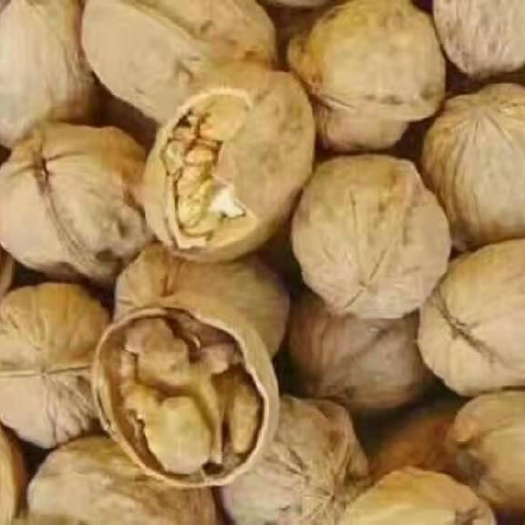 合阳县薄皮核桃 26~30mm 箱装 6-12个月 