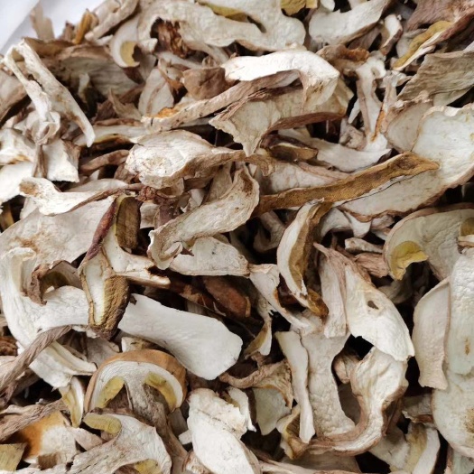 昆明 美味牛肝菌