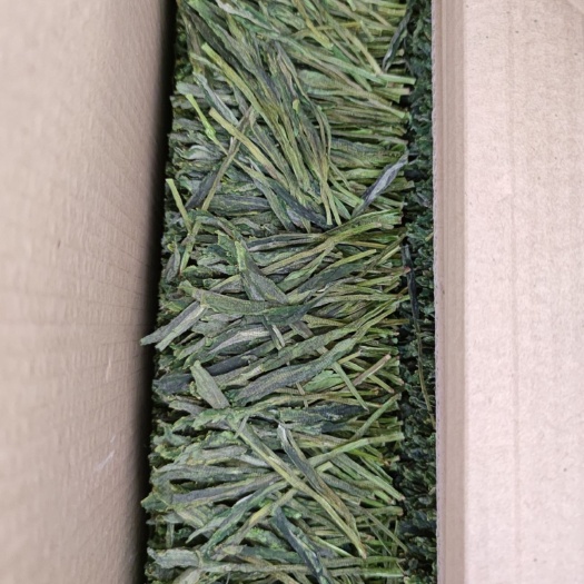 芜湖 太平猴魁手工捏尖