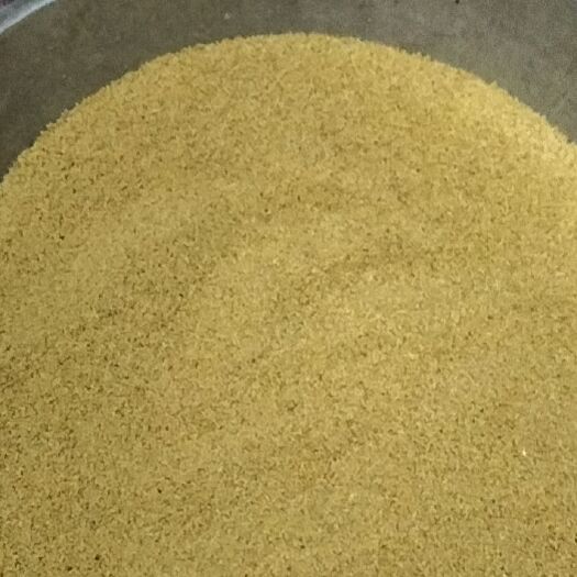 夏县自己种的新小米 