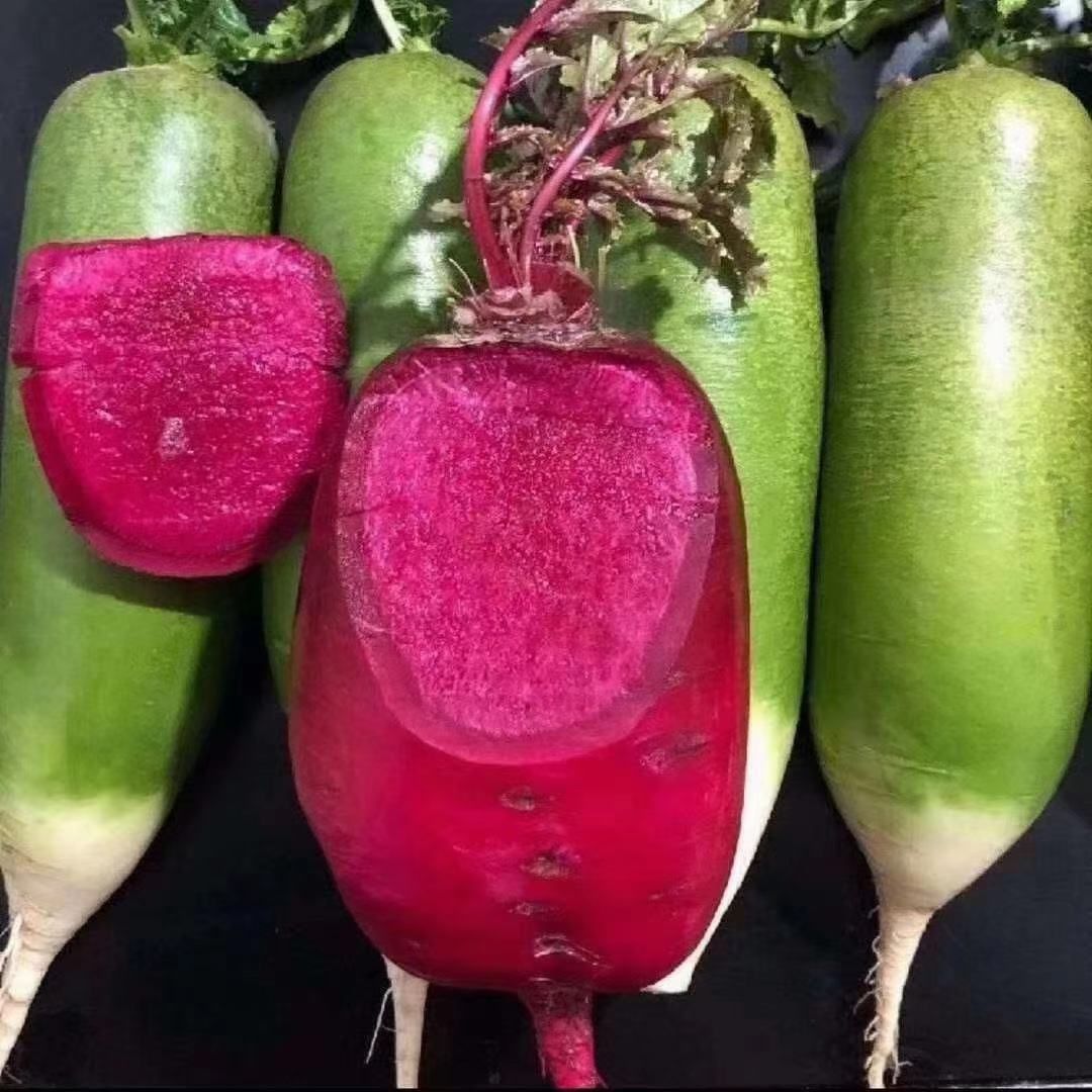 凤梨萝卜  天津沙窝水果萝卜