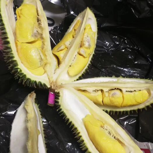 广州榴莲 马来西亚猫山王榴莲D197榴莲