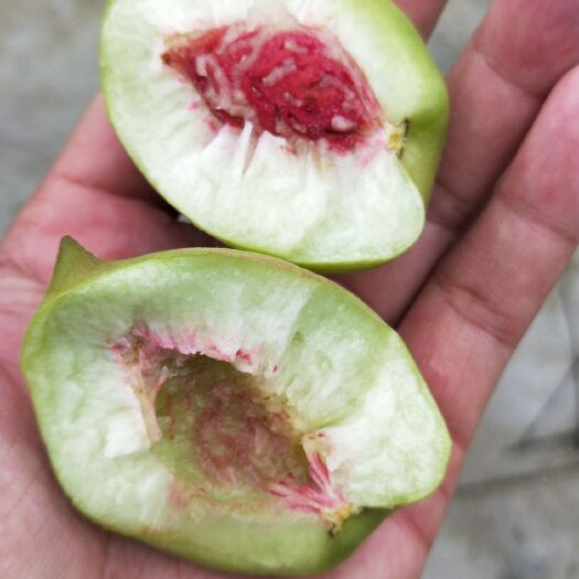资兴市鹰嘴蜜桃 电商果 