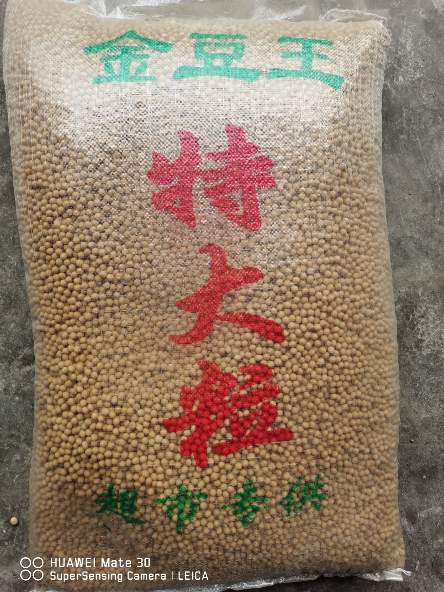 黄大豆  黑龙江大豆 金豆王特大粒  超市
