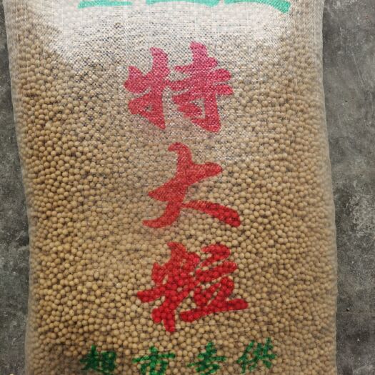 成都黄大豆  黑龙江大豆 金豆王特大粒  超市