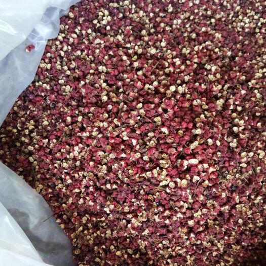 陇南大红袍花椒 一级 干花椒 