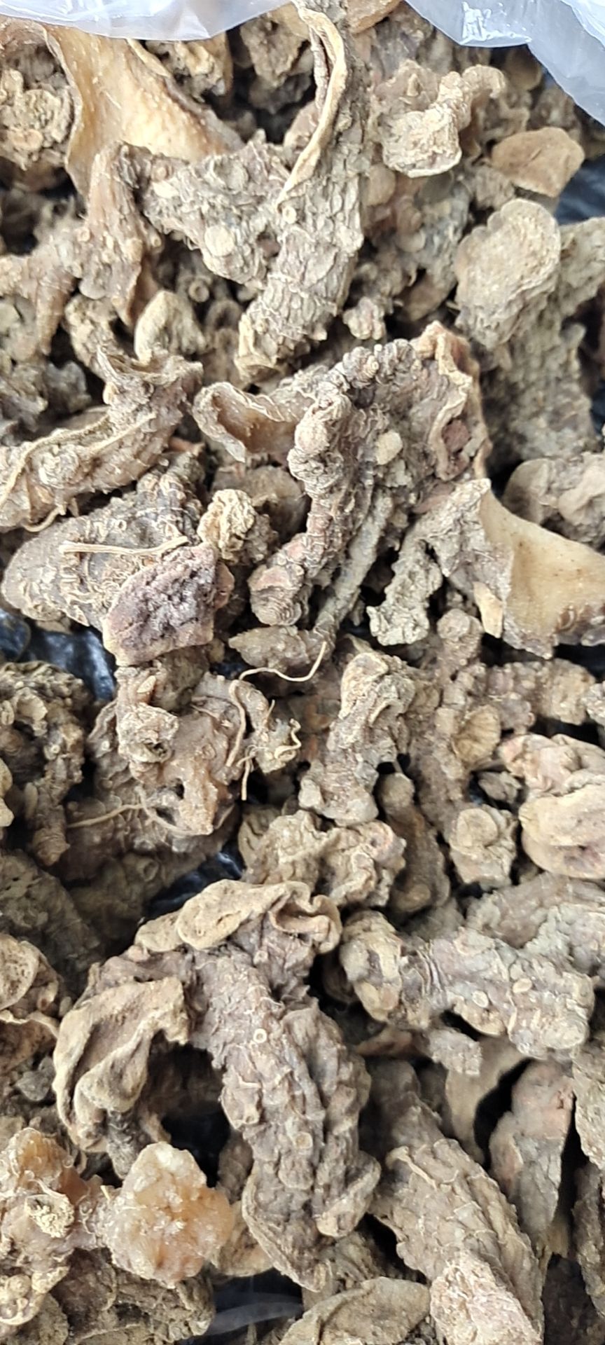 甜黄精 蒸煮后的干黄精
