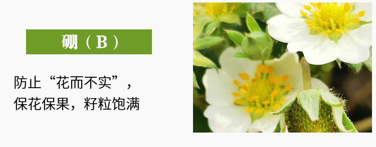 糖醇钙镁硼锌肥叶面肥中微量元素肥料果树蔬菜促花防裂果黄叶