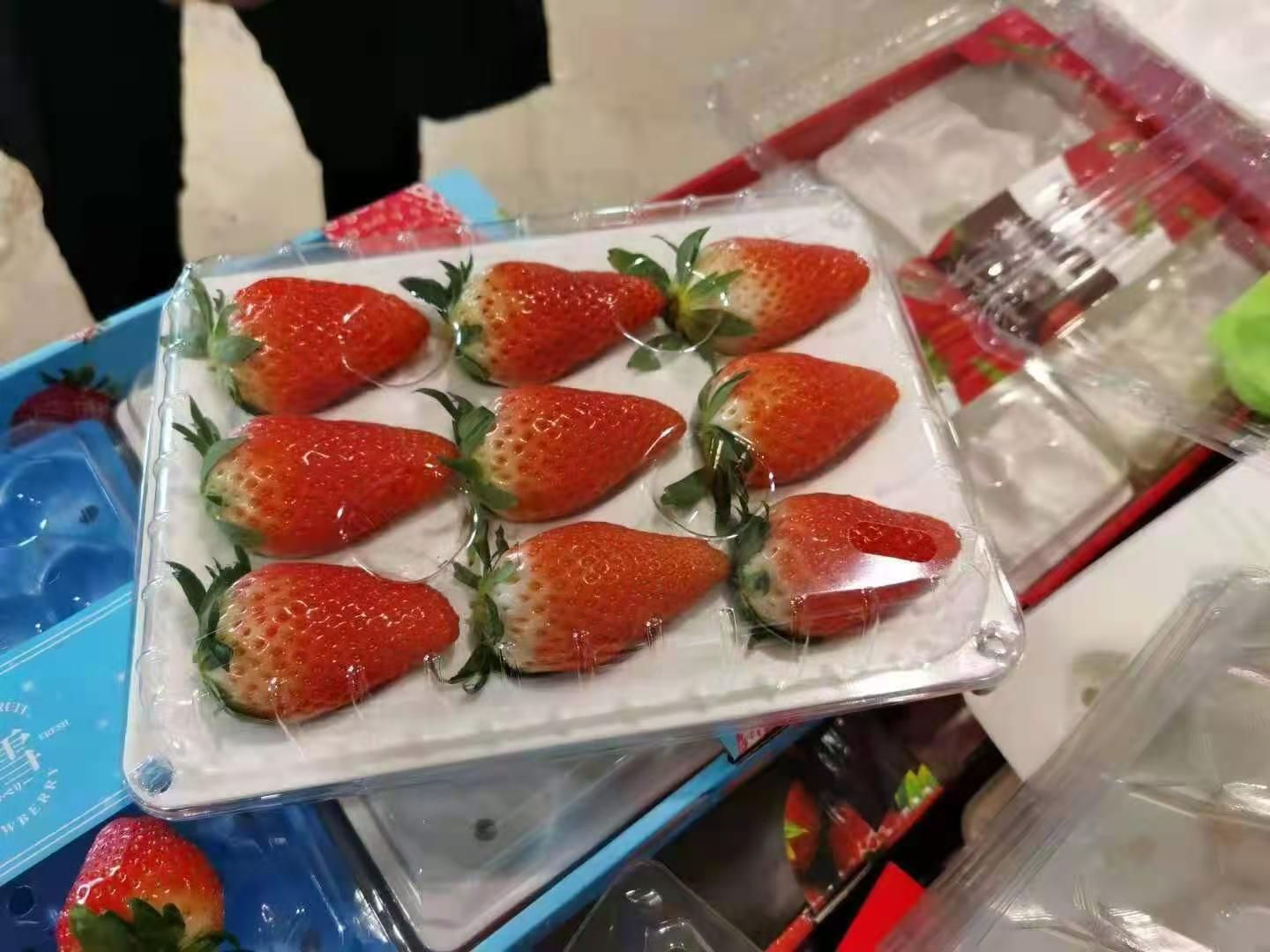 草莓包装盒 精品草莓包装，抗摔，保鲜，外观时尚，卖相好，非常实用的一款。