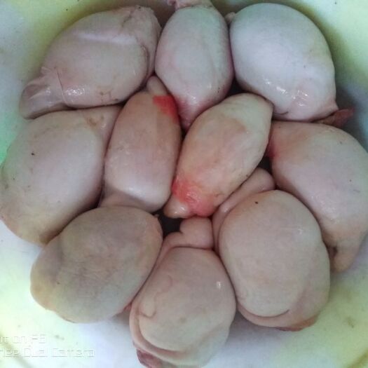 桐梓县羊宝  羊肉系列。