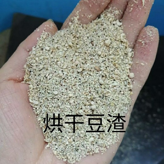 石家庄烘干豆渣