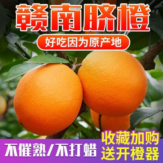 寻乌县 江西赣南脐橙高山橙子新鲜薄皮甜橙水果当季整箱精品大果