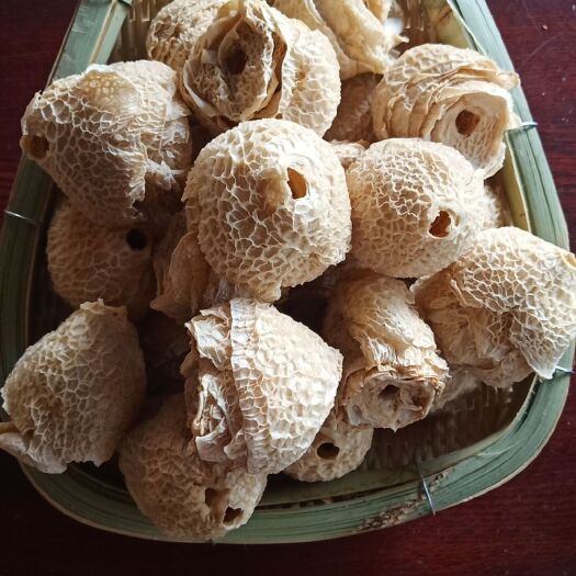昆明 竹荪盖