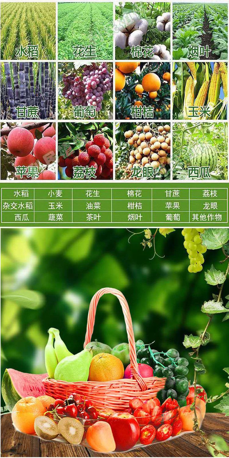 糖醇钙镁硼锌肥叶面肥中微量元素肥料果树蔬菜促花防裂果黄叶