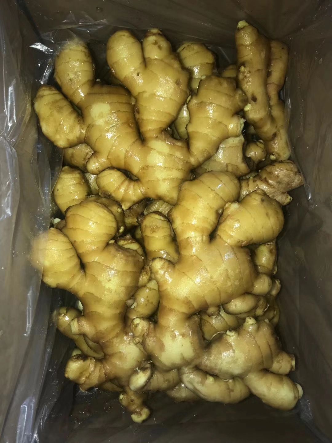 河南大黄姜 小黄姜 姜母等大量批发 电商 市场 商超全国发货