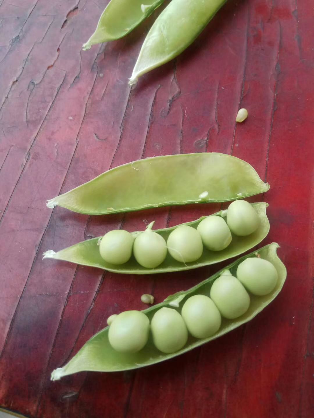 豌豆荚  青豌豆 大量上市，货源充足，质量好，颜色好