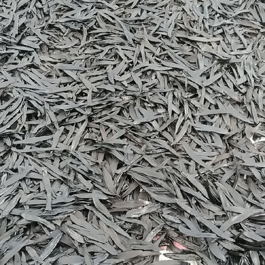 徐州菲牛蛭吸血鬼水蛭蚂蟥