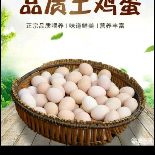 崇信县散养土鸡蛋，薄皮，色泽鲜亮