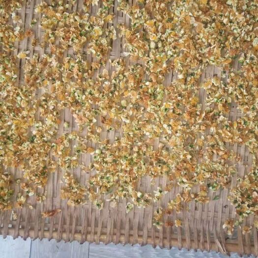 茶花茶  大叶种干茶花