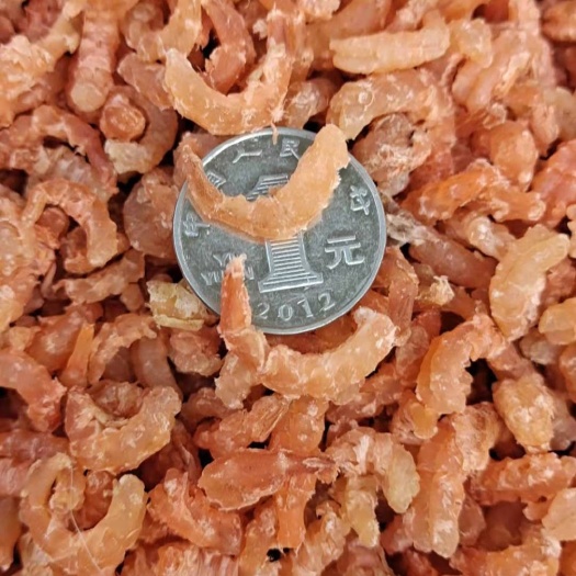 滨州大个头金钩海米！自家加工！质量杠杠滴！炒菜做汤包水饺都好吃！