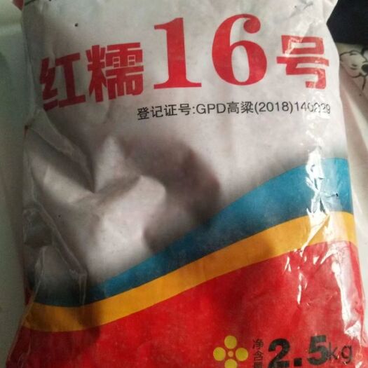 乾安县红糯16酿酒高粱种子，红糯16号高粱种子
