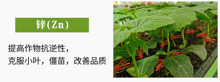 糖醇钙镁硼锌肥叶面肥中微量元素肥料果树蔬菜促花防裂果黄叶