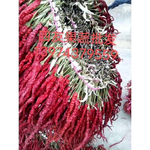 吉首市二荆条干辣椒 