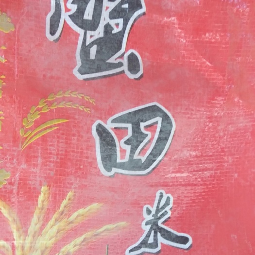唐山东北大米 一等品 一季稻 粳米 