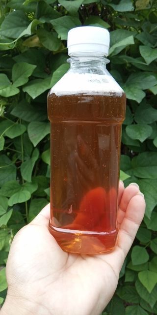 琼中县野蜂蜜  天然土蜂百花蜜（非养殖活性高）包邮