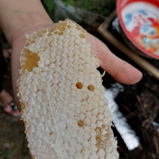 全南县百花蜜 2年以上 42 本品不能代替药物 