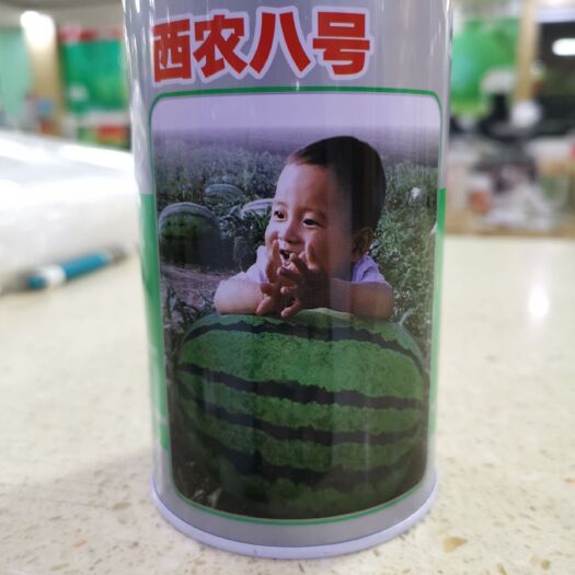 临沂西农8号西瓜种子 适合露地地膜覆盖栽培，中晚熟品种，果实发育期35天，椭圆形！