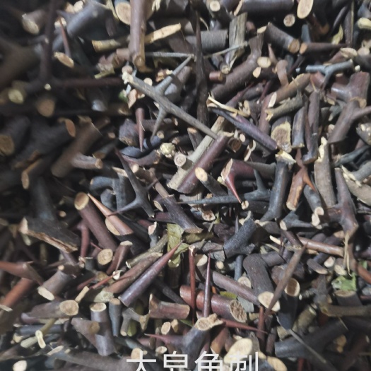 林州市正品大皂角刺