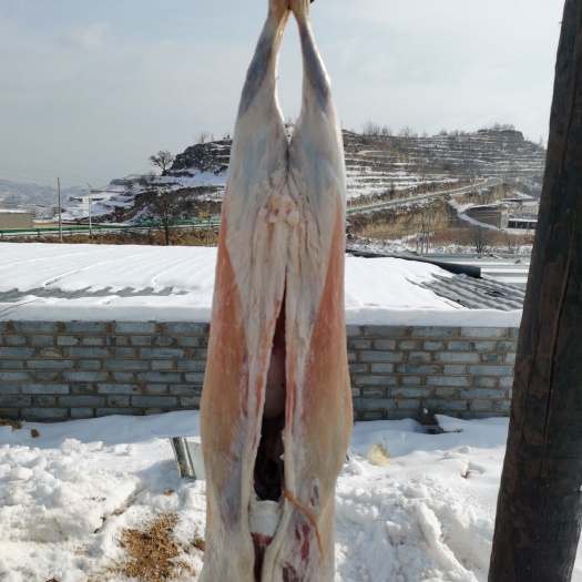 绥德县白条羊  陕北草坡山羊肉，吃百草玉米长大，肉质鲜美口感细腻纯绿色放养