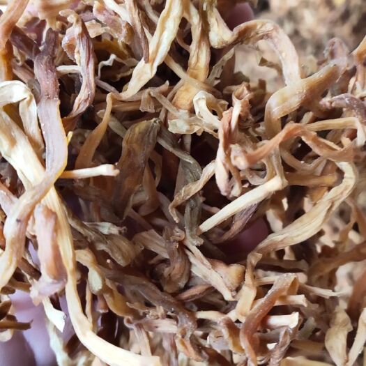 祁东县大荔黄花菜 电商，地滩专用黄花菜，统货