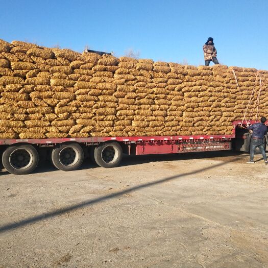 调兵山市玉米秸秆压块饲料