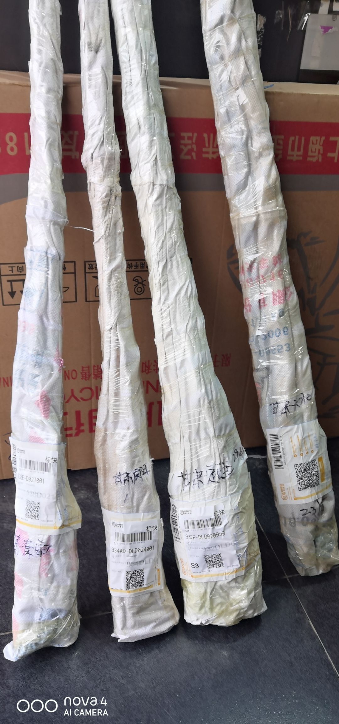 鲁丽苹果苗  【鲁  丽】乔化二年生成品苗