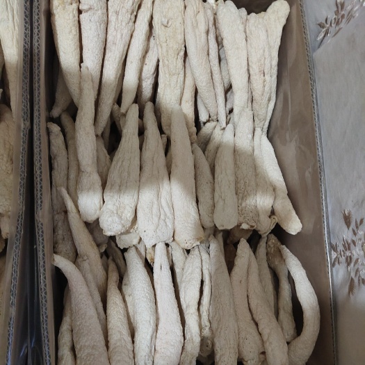 大方县贵州竹笙野笙竹荪大方冬荪大条竹荪产地自产自销批发产地一手货