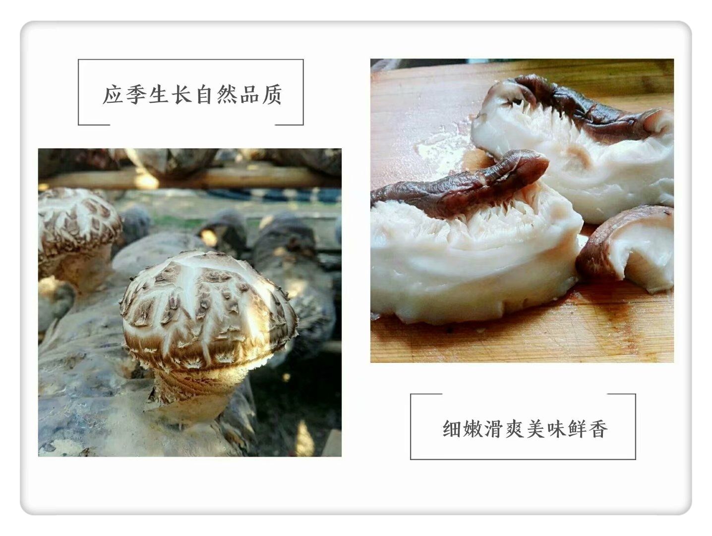 包邮冬菇精选厚肉优质冬花菇干货自种植随州地标特产香菇干