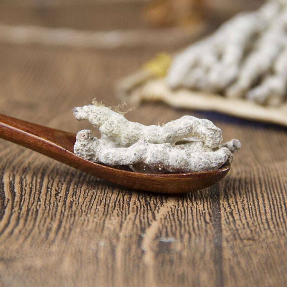 中药材白僵蚕 包邮 袋装 多仓当天发货 质量保证