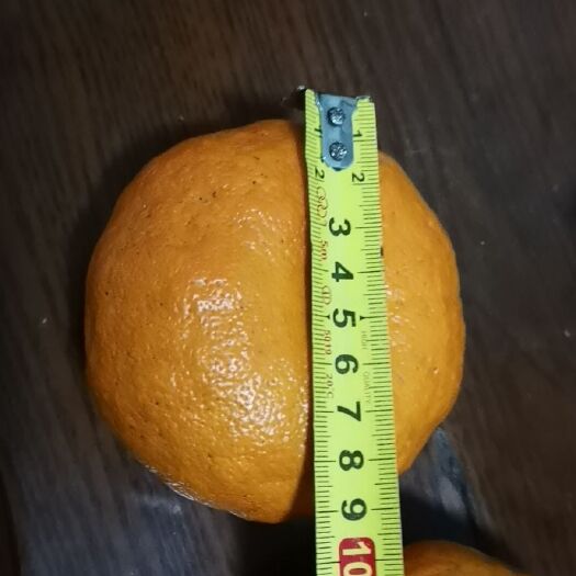 顺昌县芦柑 一级果 