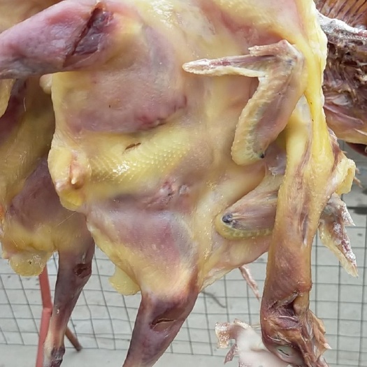 沙洋县腊鸡  风干老母鸡