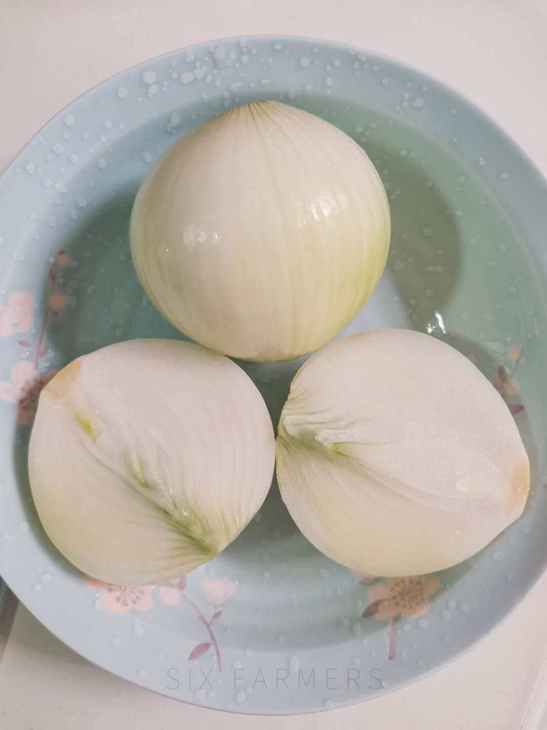 白皮洋葱  新疆特产 紫色皮芽子 白色皮芽子 黄萝卜可混装可单选一件代发