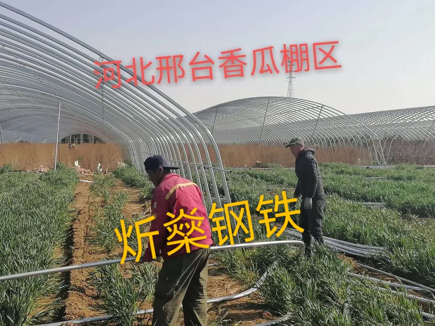 椭圆管骨架  养殖大棚，种植大棚