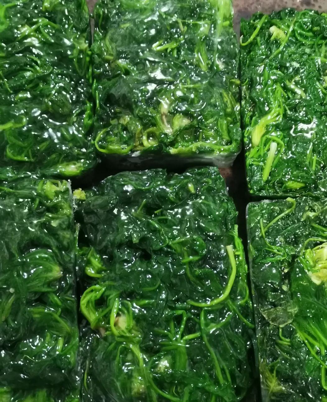 虞城县冻荠菜  荠荠菜块！自己加工！质量很好！量大从优