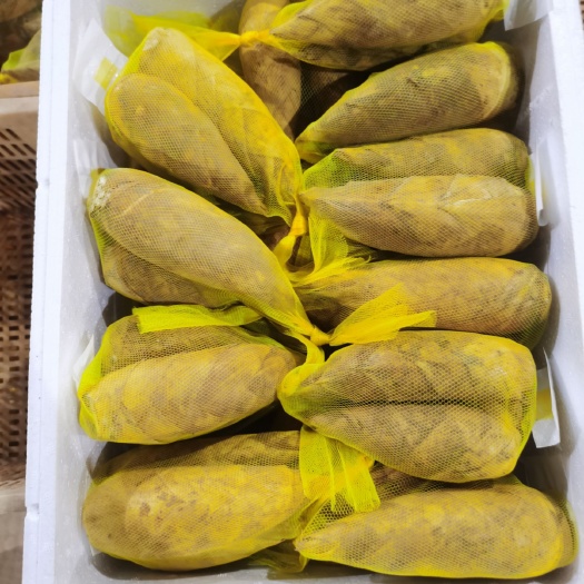 古田县冬笋一斤包装，商场超市，社区团购，可根据需要定制