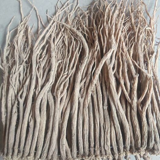 临洮县白条党参  甘肃临洮县无硫干鲜白条党